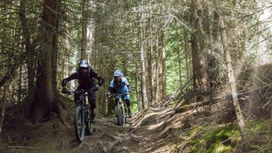 Mountainbiken