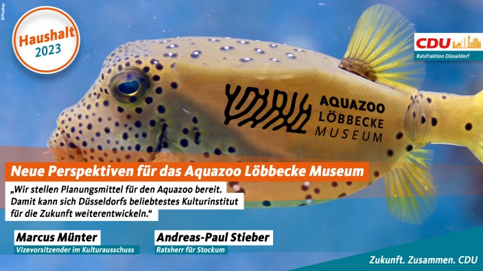 Neue Perspektiven für den Aquazoo