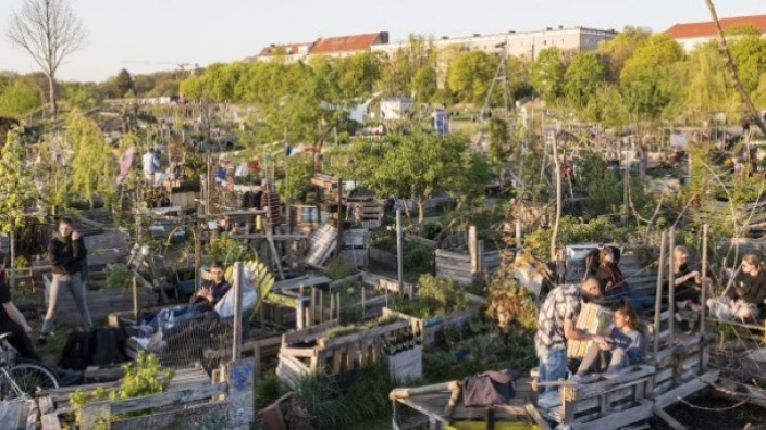 Urban Gardening