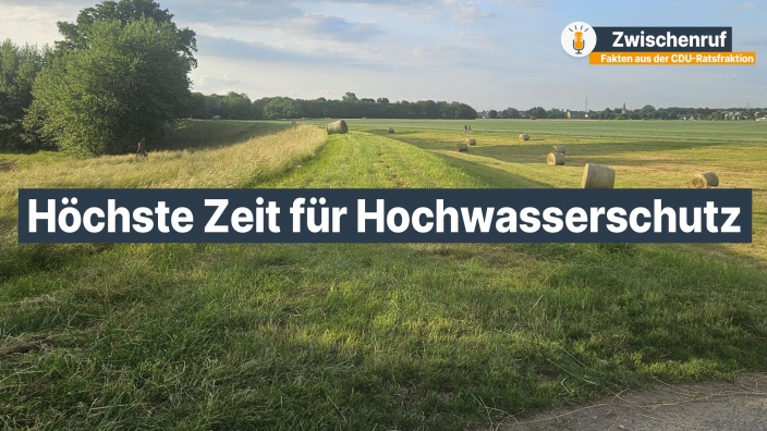 Deichbau im Himmelgeister Rheinbogen